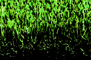 grass bona ultra 5/8, grass sintético jersgrass